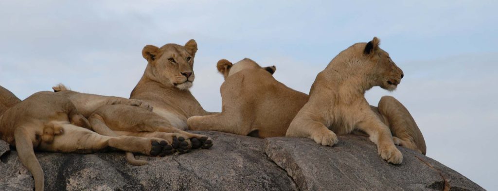 Serengeti National Park