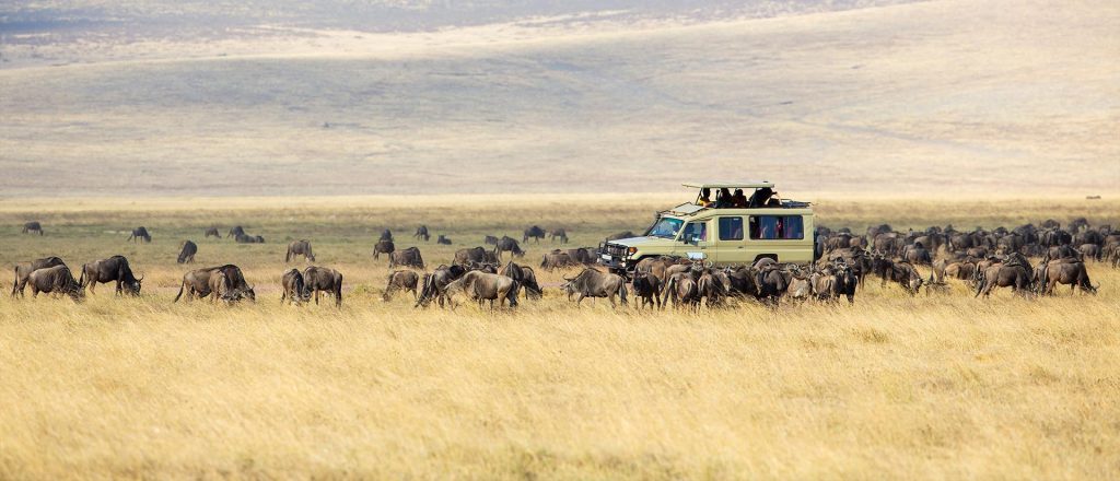 Ngorongoro Crater Safari