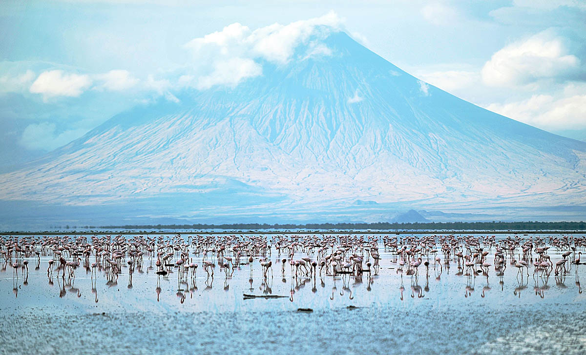 Lake Natron Safari