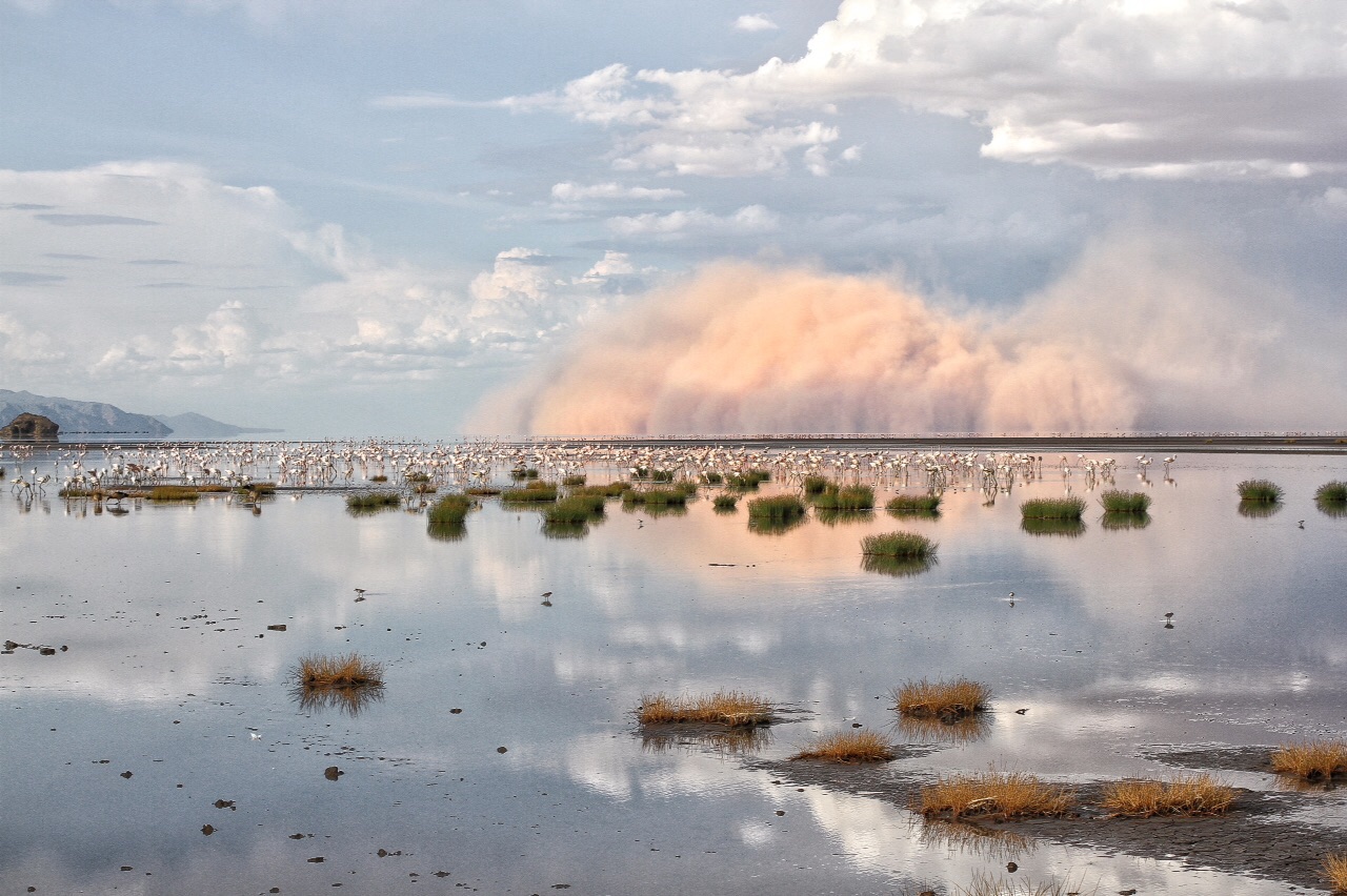 Lake Natron Safari