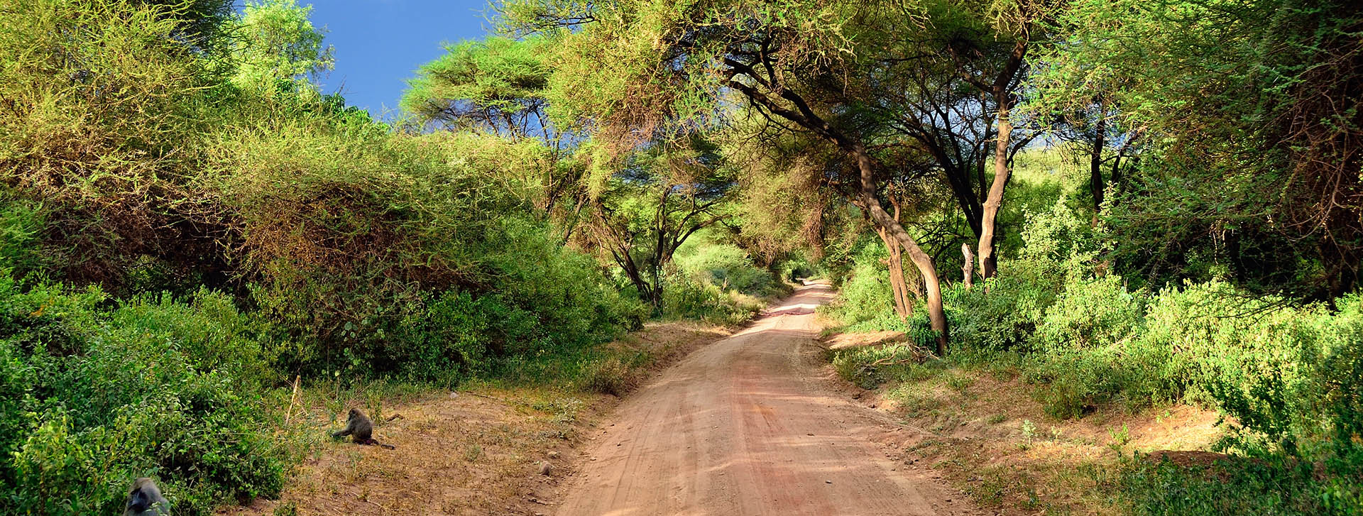 Lake Manyara