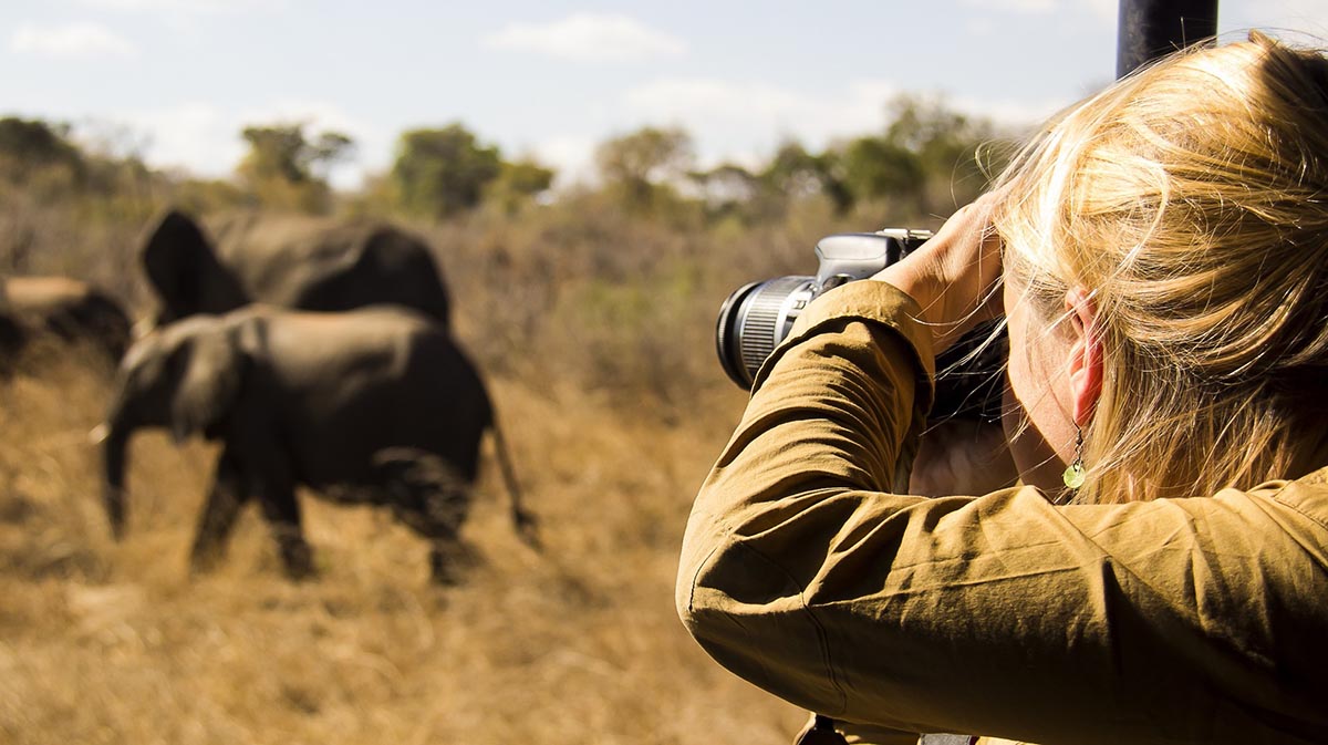 Tanzania Low Safari Season
